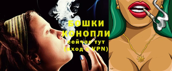 прущие грибы Арсеньев