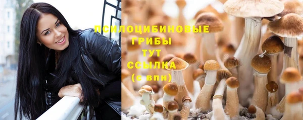 шишки Балахна