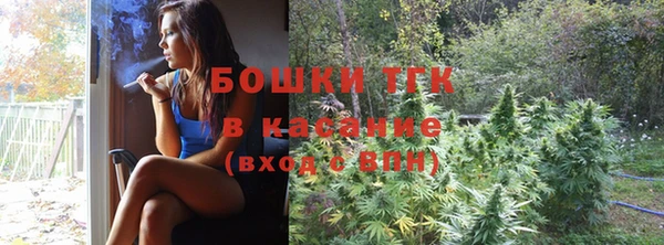 прущие грибы Арсеньев
