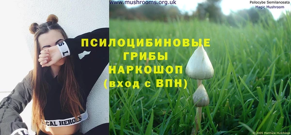 jwh Алзамай