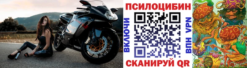 MEGA   наркотики  Качканар  Галлюциногенные грибы Psilocybine cubensis 